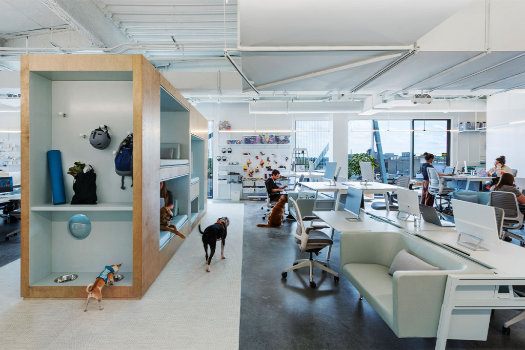 Офис pet-friendly